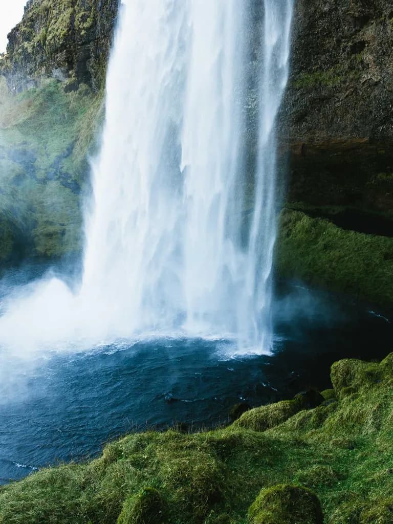 Studio Trouser